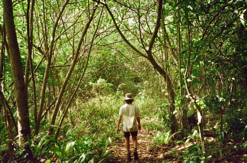 Your Body Was Built for Chaos: The Science of Letting Your Nervous System Run Wild