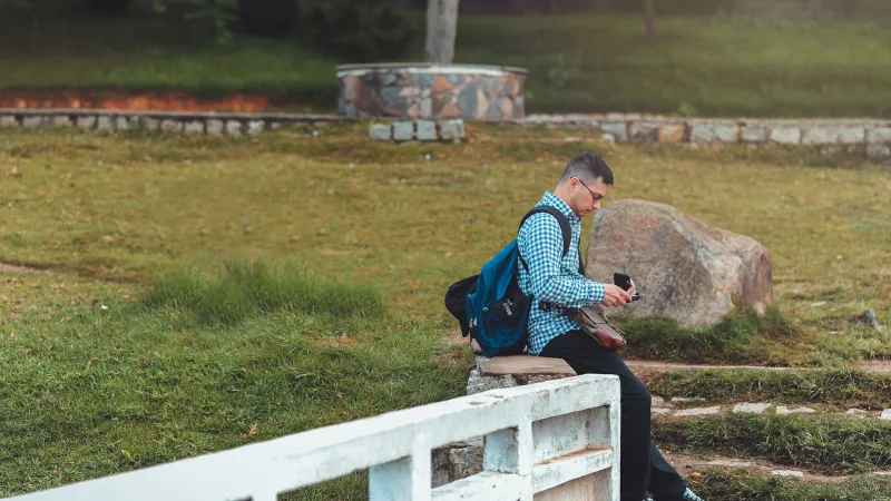 Clear the Clutter: Why Your Digital Life Needs a Forest Manager