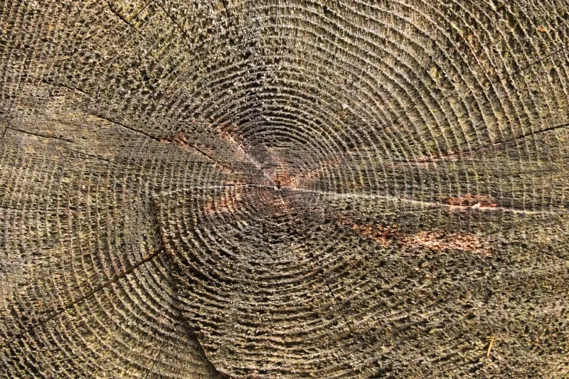 When Nothing Seems to Be Happening, Everything Is: The Hidden Power of Your Stalled Years