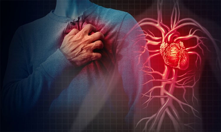 心血管系統風險問題